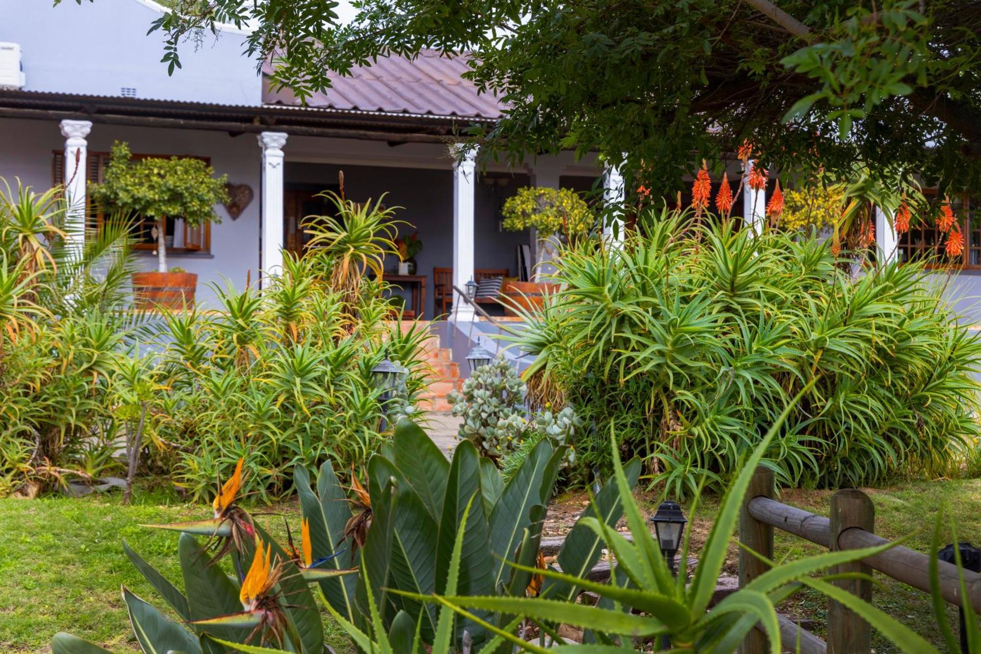 Thylitshia Villa Country Guest House Oudtshoorn Exteriör bild