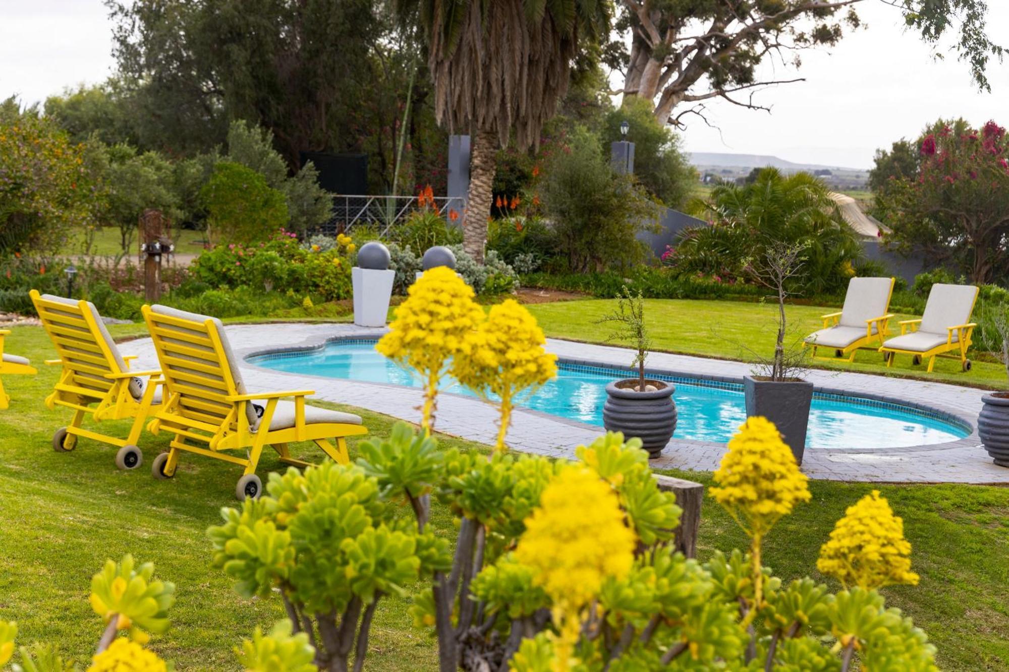 Thylitshia Villa Country Guest House Oudtshoorn Exteriör bild