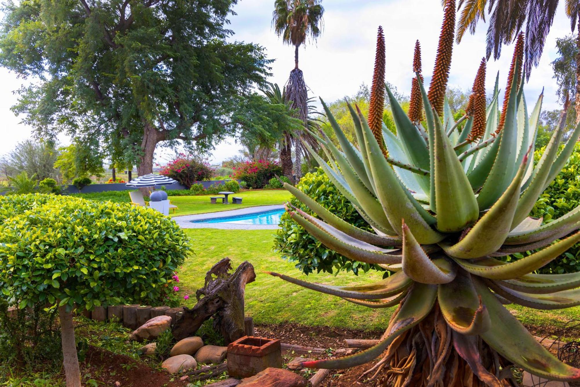 Thylitshia Villa Country Guest House Oudtshoorn Exteriör bild