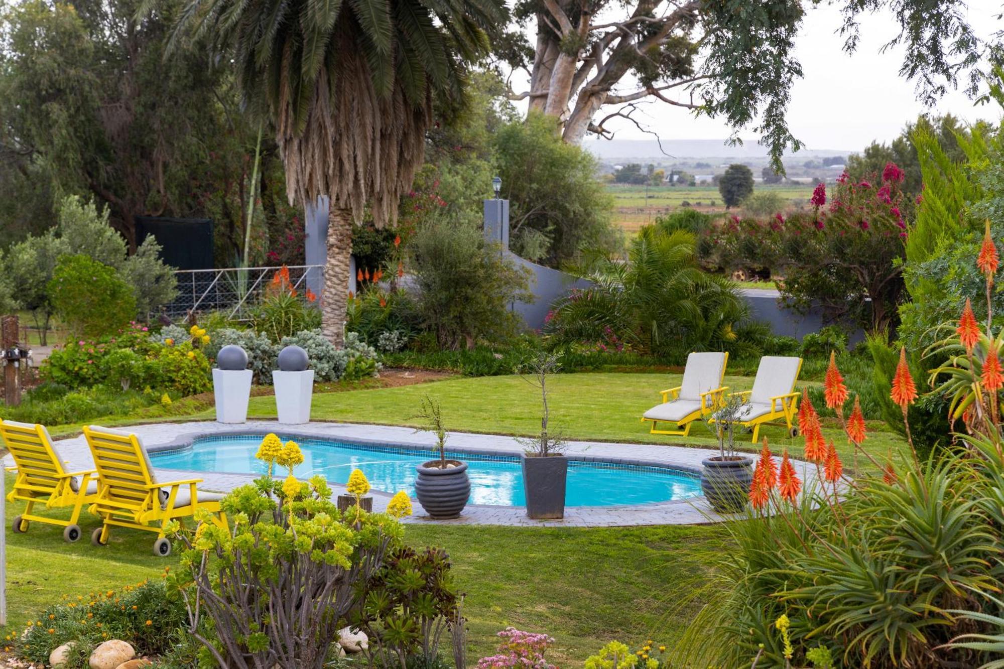 Thylitshia Villa Country Guest House Oudtshoorn Exteriör bild