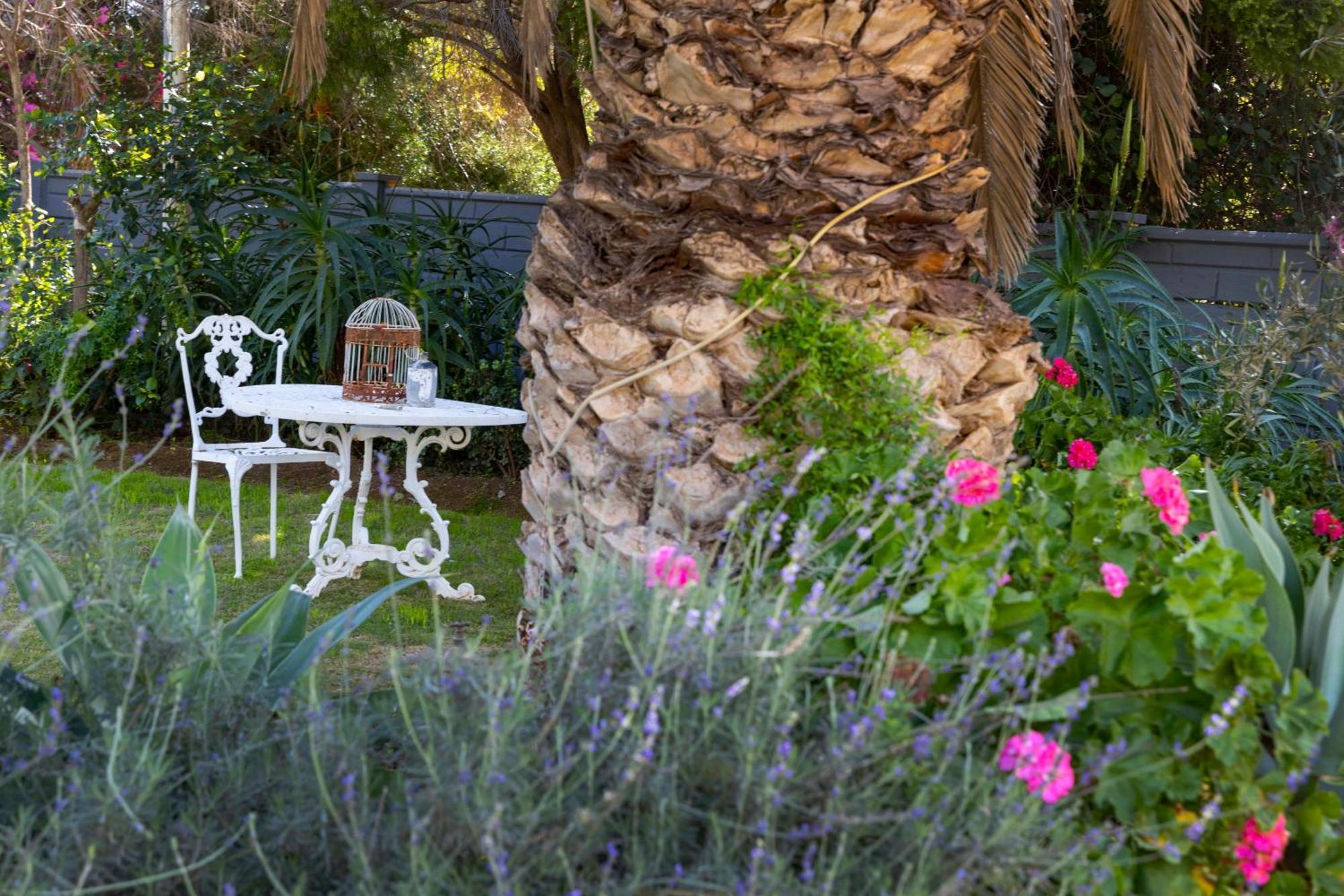 Thylitshia Villa Country Guest House Oudtshoorn Exteriör bild