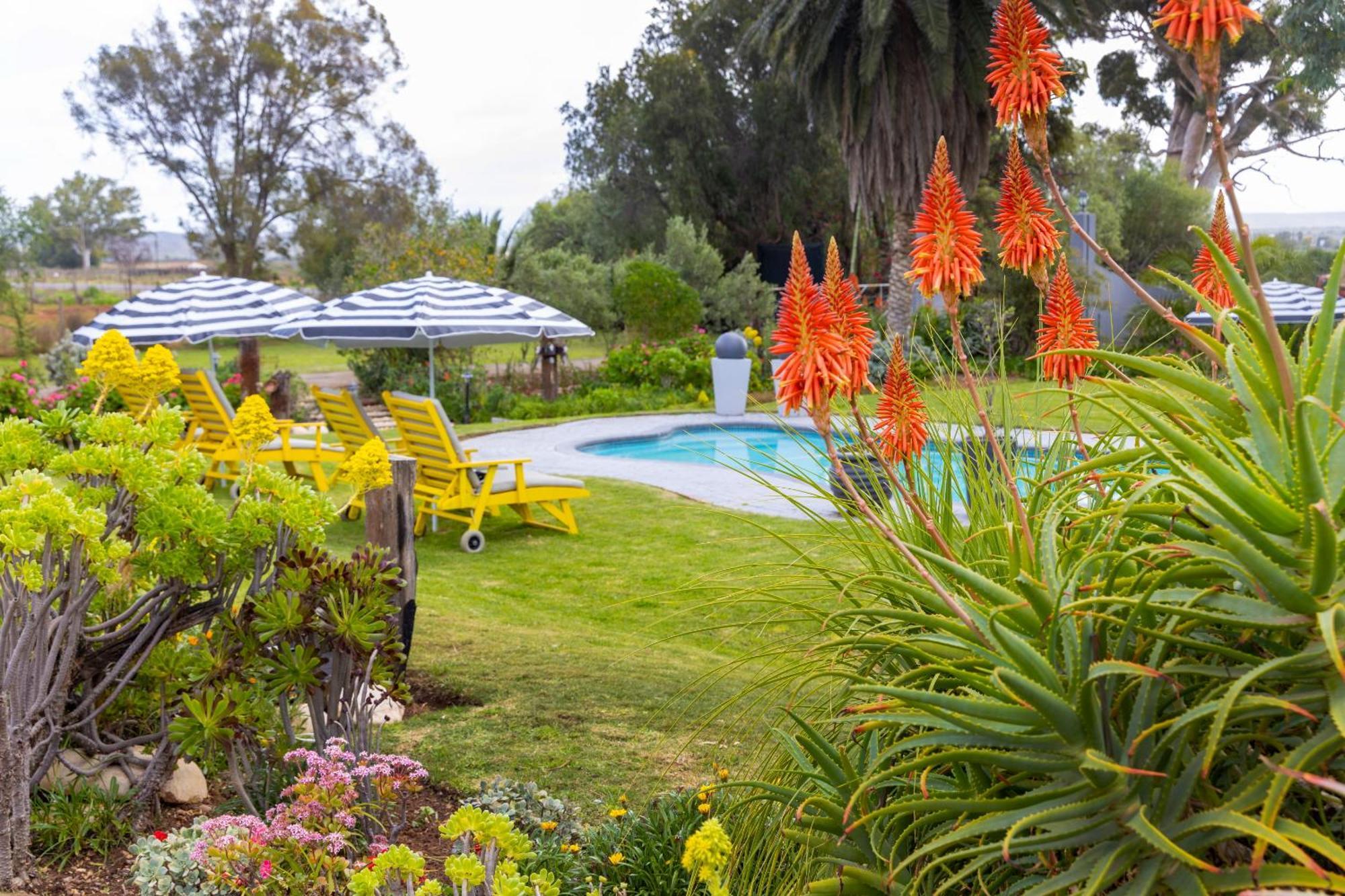 Thylitshia Villa Country Guest House Oudtshoorn Exteriör bild