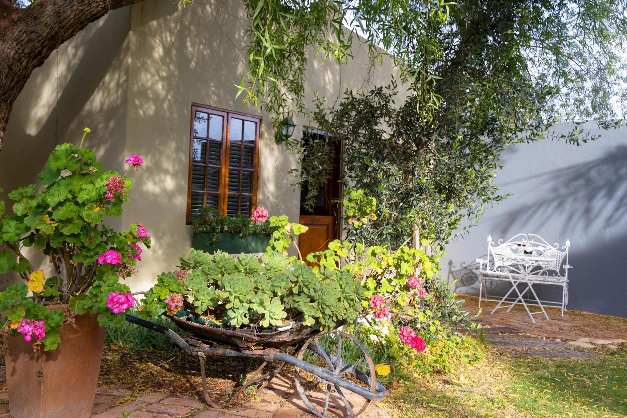 Thylitshia Villa Country Guest House Oudtshoorn Exteriör bild